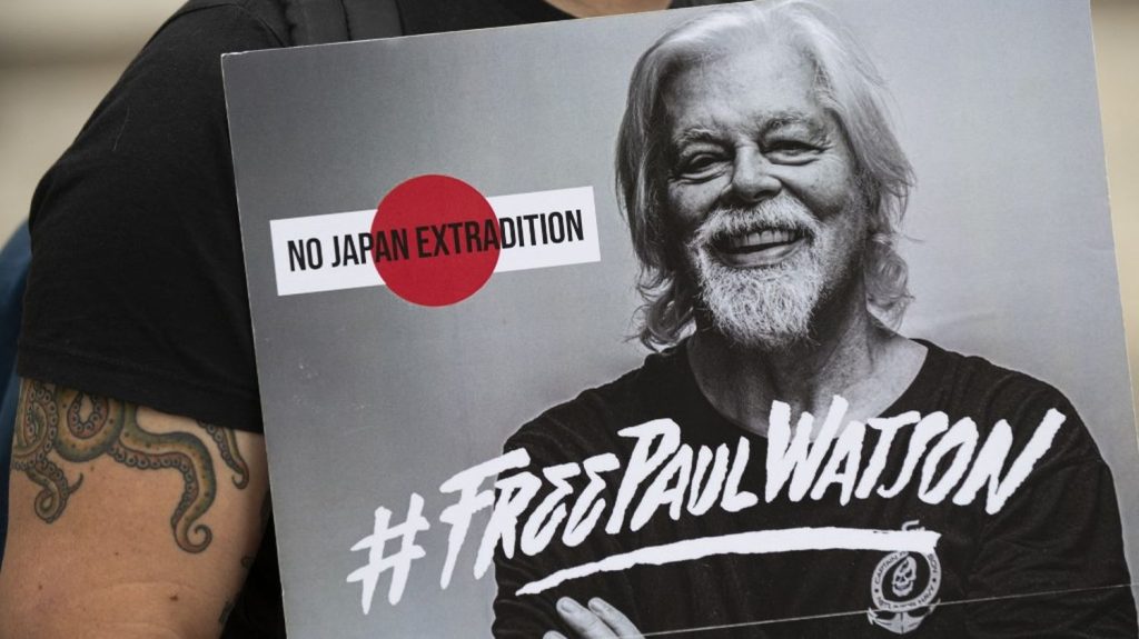 La détention du militant écologiste Paul Watson au Groenland prolongée jusqu’au 4 décembre