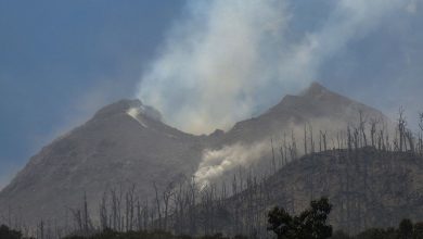 Une éruption volcanique fait dix morts sur l’île indonésienne de Flores