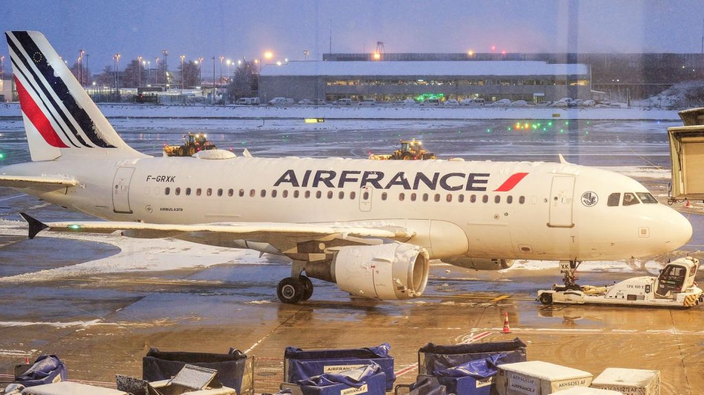 comment l’association « Cats in The Air » tente de retrouver le chien disparu à Roissy