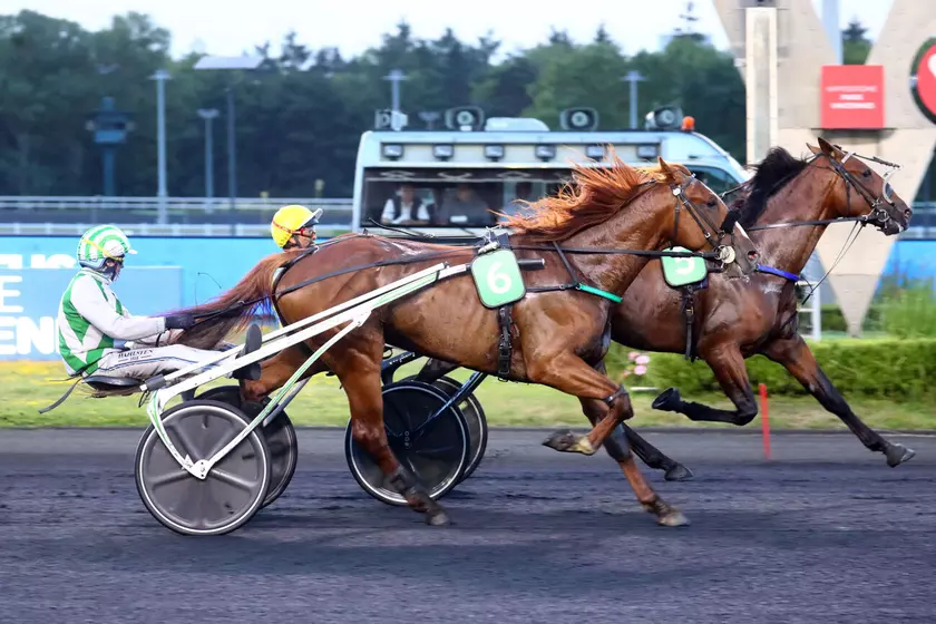 Jim Perrine, le séduisant outsider du Quinté+ de ce jeudi 28 novembre – Equidia.fr