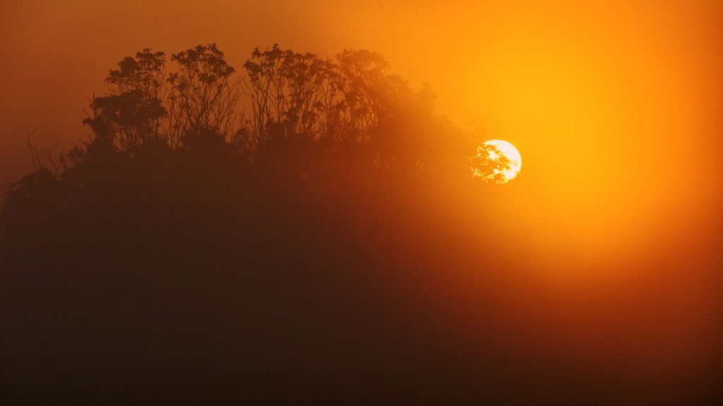 l’année 2024 sera la plus chaude jamais enregistrée et la première à dépasser 1,5°C de réchauffement, selon l’observatoire Copernic