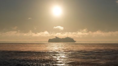 pourquoi la rupture des câbles en mer Baltique ravive les craintes autour d’une « guerre hybride » menée par la Russie