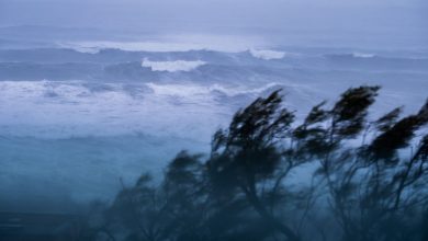 Les Pyrénées-Atlantiques placées en alerte orange en raison de vents violents dès dimanche matin