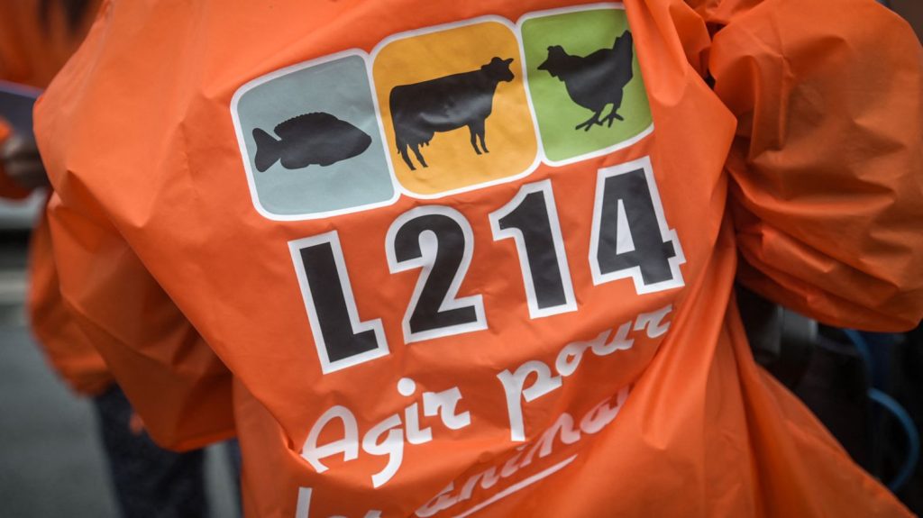 un abattoir suspendu en Savoie après une plainte de L214 pour « actes de cruauté »