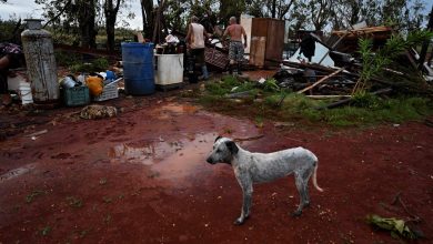 deux puissantes secousses ressenties dimanche, les autorités ne lancent pas d’alerte au tsunami à ce stade