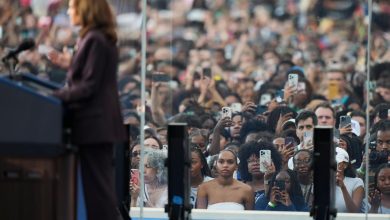 certains démocrates affirment que la victoire de Trump est due à une fraude