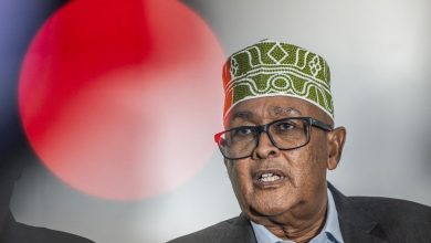 L’opposant Abdirahman Mohamed Abdullahi, dit « Irro », élu président du Somaliland