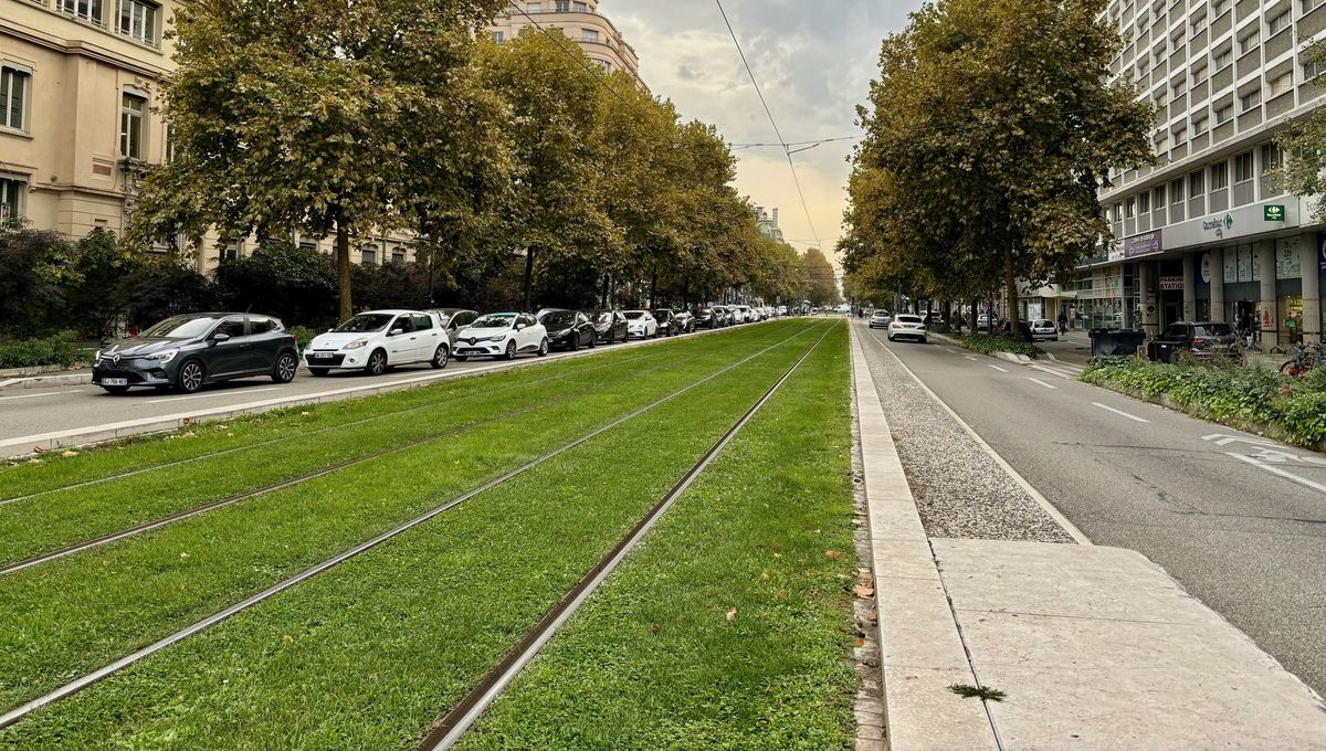 Contrôleur menacé à Grenoble : bus et tramways ne circuleront pas mercredi, la direction conteste le droit de retrait