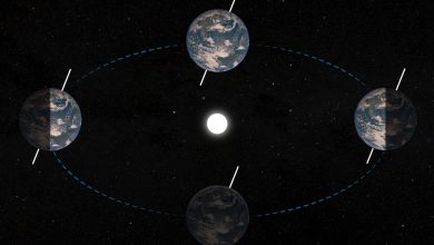 Quand l’inclinaison de la Terre déclenche des « sauts de CO2 »