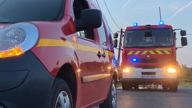 Haute-Vienne : 500 chèvres meurent dans l’incendie d’une ferme à Rochechouart