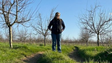 « Bonjour, c’est Michel Barnier » : le Premier ministre appelle l’agriculteur de Dordogne qui a témoigné sur son suicide