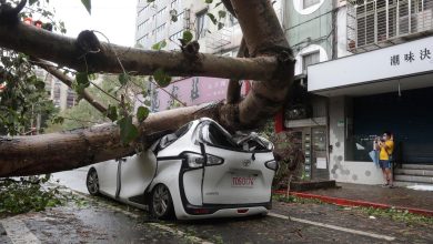 Le typhon Kong-rey fait au moins deux morts et plus de 500 blessés