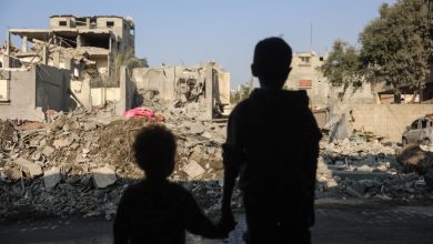 A Gaza, les femmes et les enfants représentent « près de 70 % » des décès selon un rapport de l’ONU