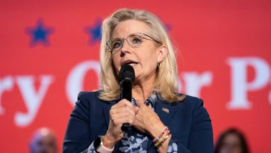 Donald Trump suggère de pointer une arme sur Liz Cheney, répond le républicain pro-Harris