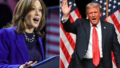 Trump ou Harris ? Les résultats des scrutins à J-4 du scrutin