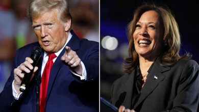 Trump ou Harris ? Les résultats des scrutins à J-3 du vote