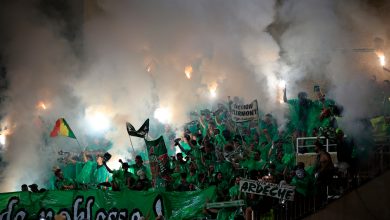 Ligue 1: le gouvernement saisit la LFP après des chants homophobes à Saint-Étienne – RTL