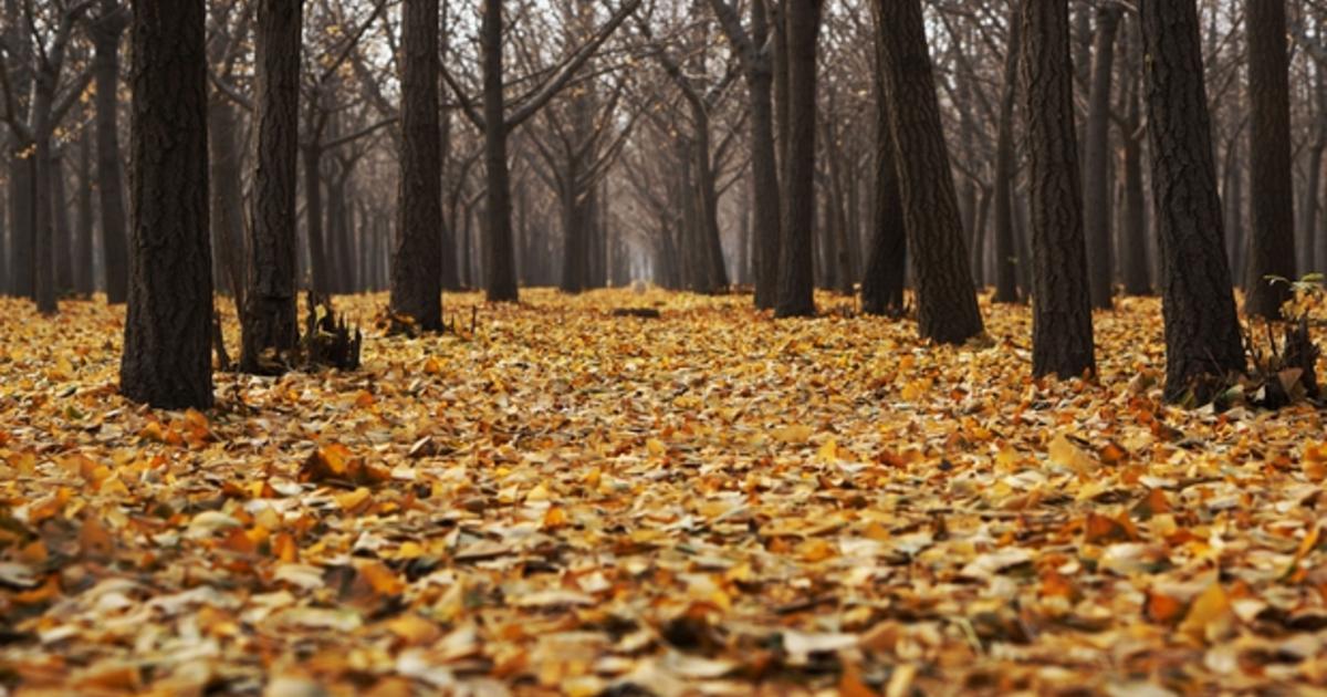 Baisse des températures la semaine prochaine : changement d’ambiance