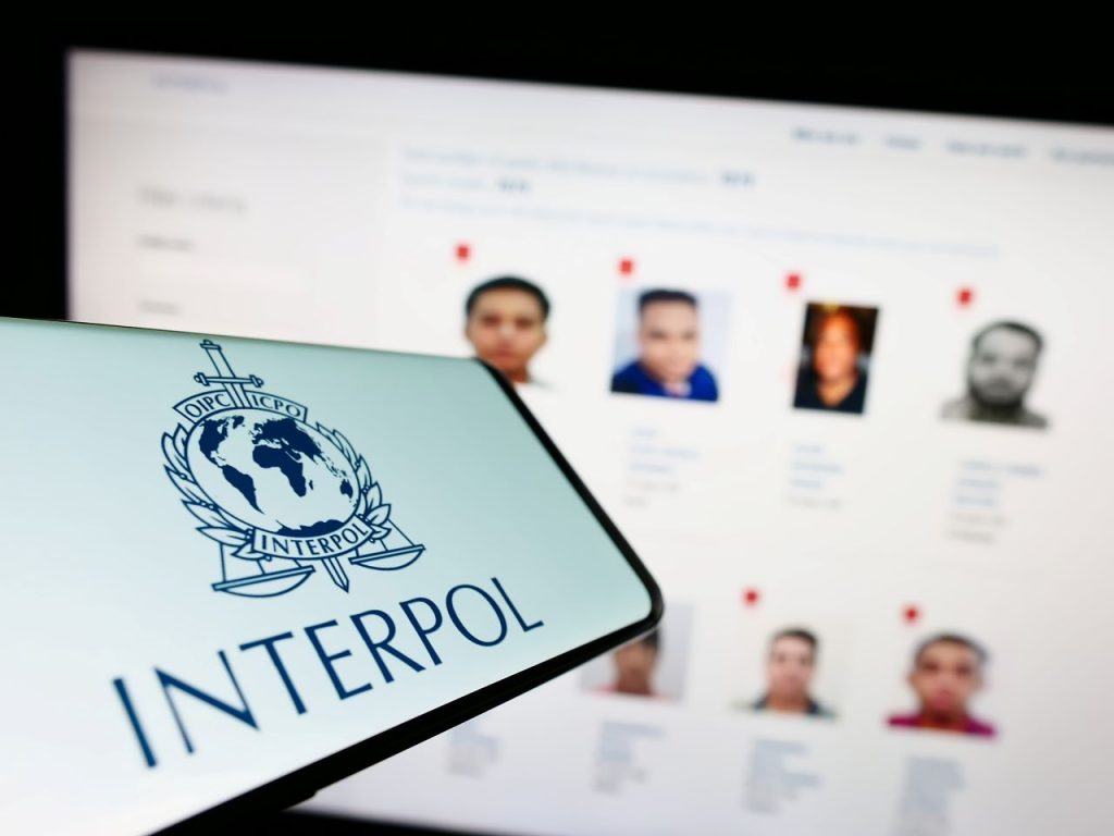 Interpol démantèle un vaste réseau de cybercriminels