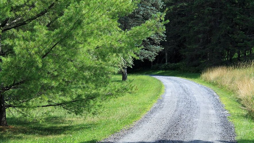 Le père a voulu abandonner son fils de 6 ans dans la forêt : l’enfant s’accroche à la voiture, il est grièvement blessé