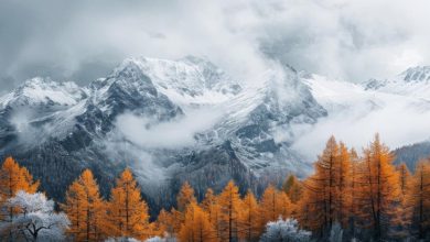 La semaine prochaine : retour de la neige en montagne