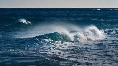 Découverte d’oxygène noir dans les océans : faut-il s’inquiéter ?