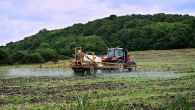 Quels sont ces nouveaux pesticides pointés du doigt dans les cas de cancer de la prostate, le plus fréquent chez l’homme ?