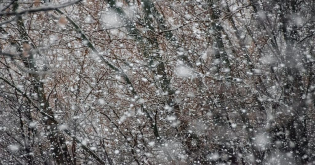 Retour de la neige en montagne la semaine prochaine : à quoi s’attendre ?