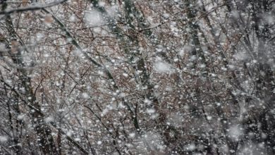 Retour de la neige en montagne la semaine prochaine : à quoi s’attendre ?