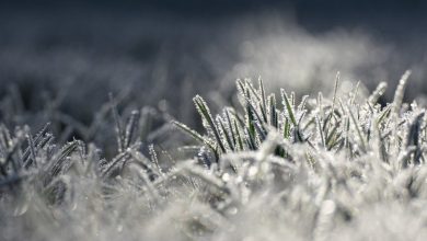 « Une masse d’air polaire va tomber » : sensation « glaciale », chutes de neige en plaine, grésil, fortes rafales de vent… météo hivernale attendue la semaine prochaine