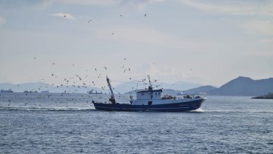 Un bateau de pêche norvégien attrape… un sous-marin nucléaire d’attaque de l’US Navy dans ses filets