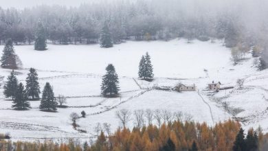 Neige en plaine jeudi : où va-t-elle tomber ?