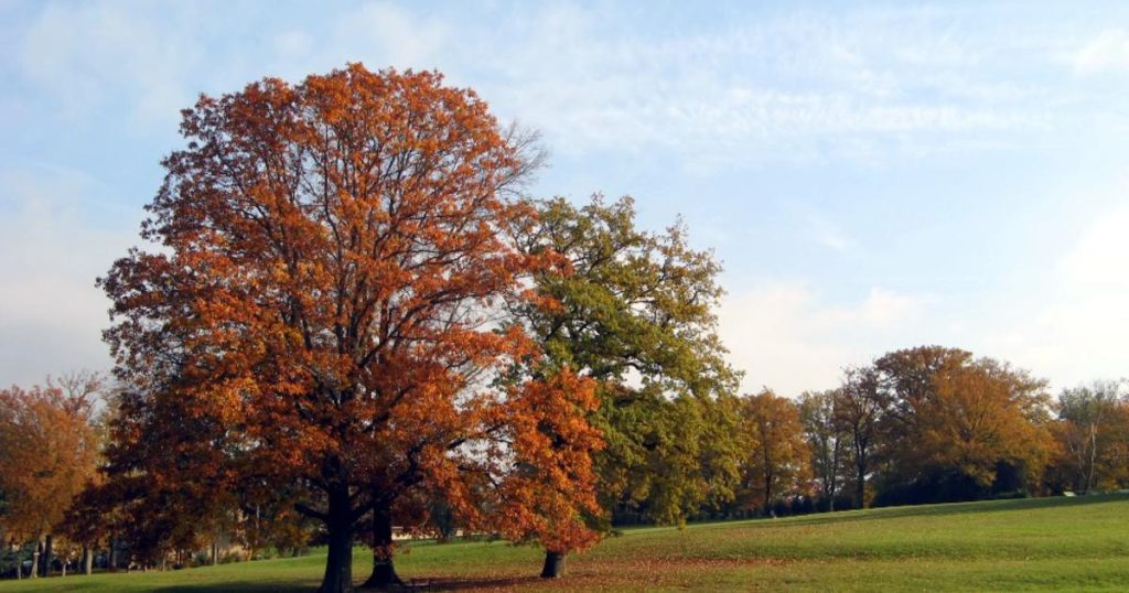 Hausse spectaculaire des températures : plus de 10°C de hausse en 24 heures