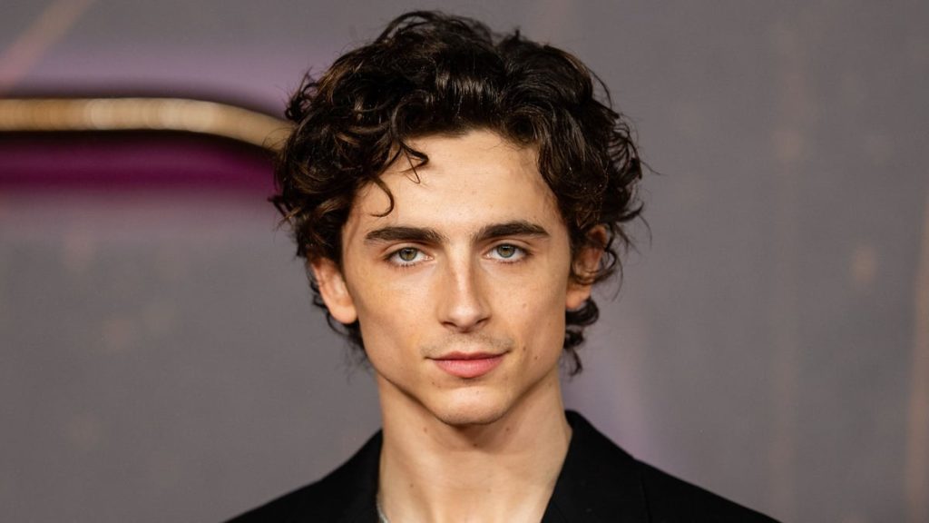 Timothée Chalamet aurait pu jouer dans Gladiator 2, mais Ridley Scott en a décidé autrement après avoir vu cette série