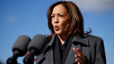 En direct – Élection présidentielle américaine : les violences verbales de Donald Trump le « disqualifient » pour la Maison Blanche, critique Kamala Harris