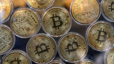 Le bitcoin s’envole à 75 000 dollars, un record grâce à une possible victoire de Trump