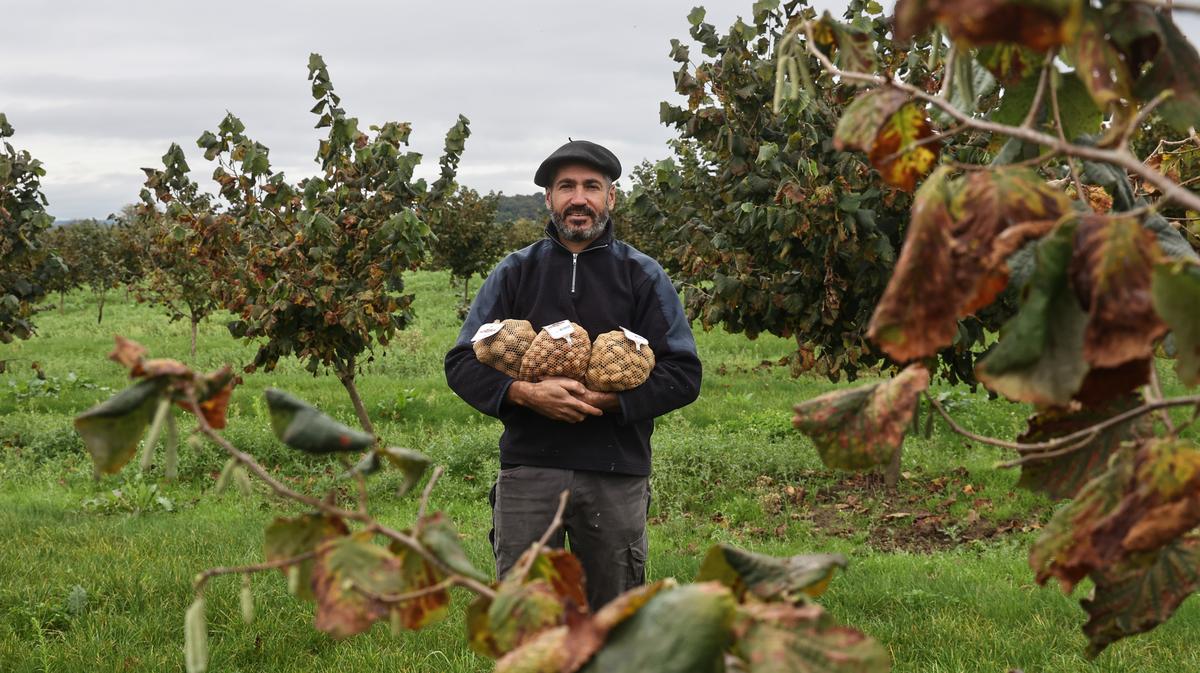 les amandes peuvent-elles être la solution miracle ?