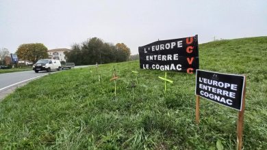 à Saintes, les vignerons manifestent leur colère