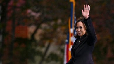 pourquoi la classe ouvrière américaine a abandonné Kamala Harris et les démocrates