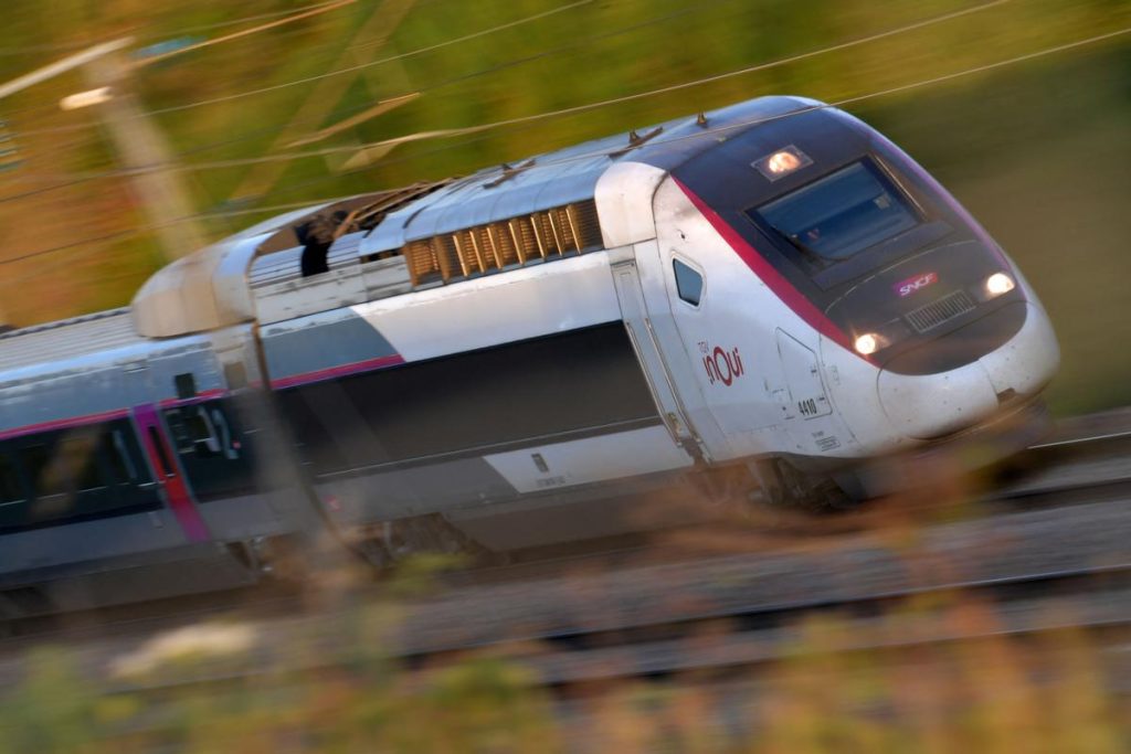 des dizaines d’arbres coupés sur le tracé de la future ligne près de Toulouse, un militant menace de se suicider