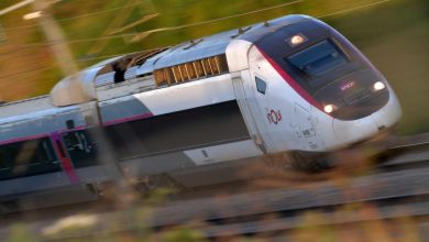 des dizaines d’arbres coupés sur le tracé de la future ligne près de Toulouse, un militant menace de se suicider