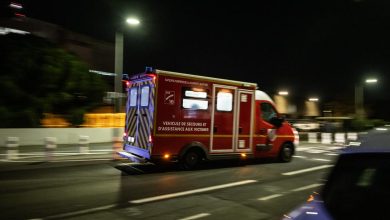 Une fugueuse de 16 ans retrouvée morte, les causes de sa mort inconnues – Sud Ouest