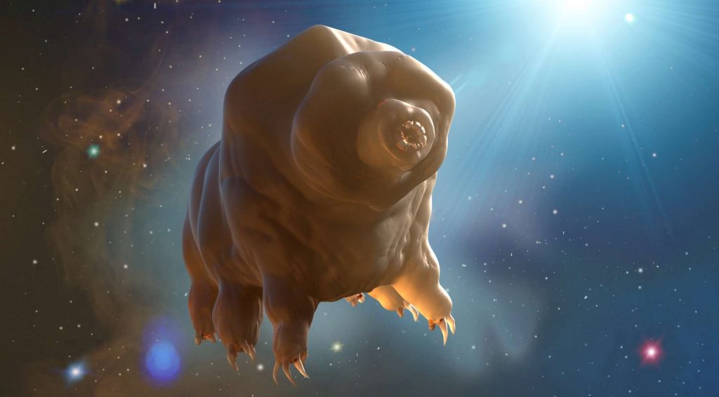 Des scientifiques chinois ont fait une incroyable découverte sur les tardigrades qui pourraient nous protéger dans l’espace