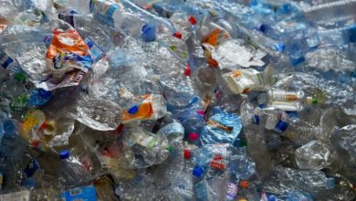 Tri des déchets : les Français progressent sur le plastique, mais restent loin de l’objectif européen : Actualités