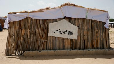 Kidnappée il y a six ans par des jihadistes, une infirmière de l’Unicef ​​parvient à s’enfuir au Nigeria