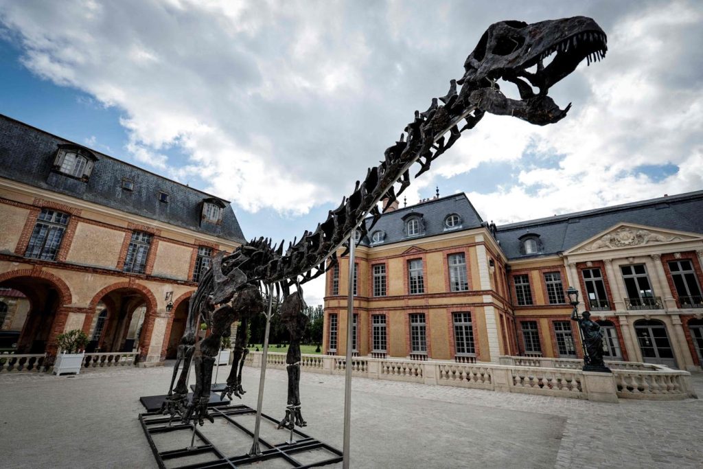 Un squelette de dinosaure géant vendu 6 millions d’euros dans les Yvelines