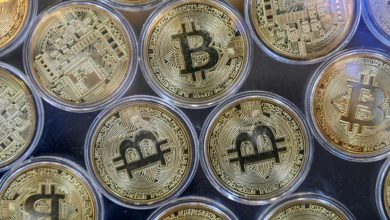 Mystère, scandales et spéculations : le bitcoin, une cryptomonnaie record – 14/11/2024 à 12:49