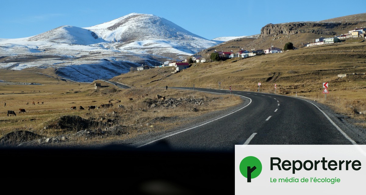 Chassé d’une voiture en Géorgie, je termine mon voyage à pied