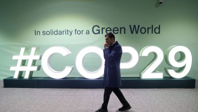 Une « trahison » : une ONG piège le directeur général de la COP29 vantant des accords sur les énergies fossiles