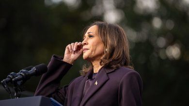 Kamala Harris boudée par ces électorats, permettant la victoire de Donald Trump